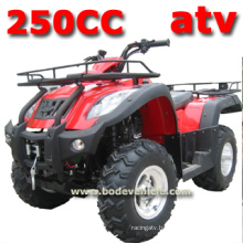 250cc EEC ATV